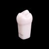 10Pcs Dental Typodont Teeth Model Removable Individual Screw-In Resin Denture Practice Tooth For Dental Studying Training
