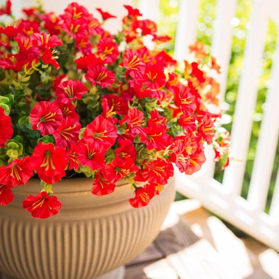 Artificial Morning Glory Flowers for Outdoor UV Resistant Faux Plastic Plants for Home Planter Porch Yard Window Decor