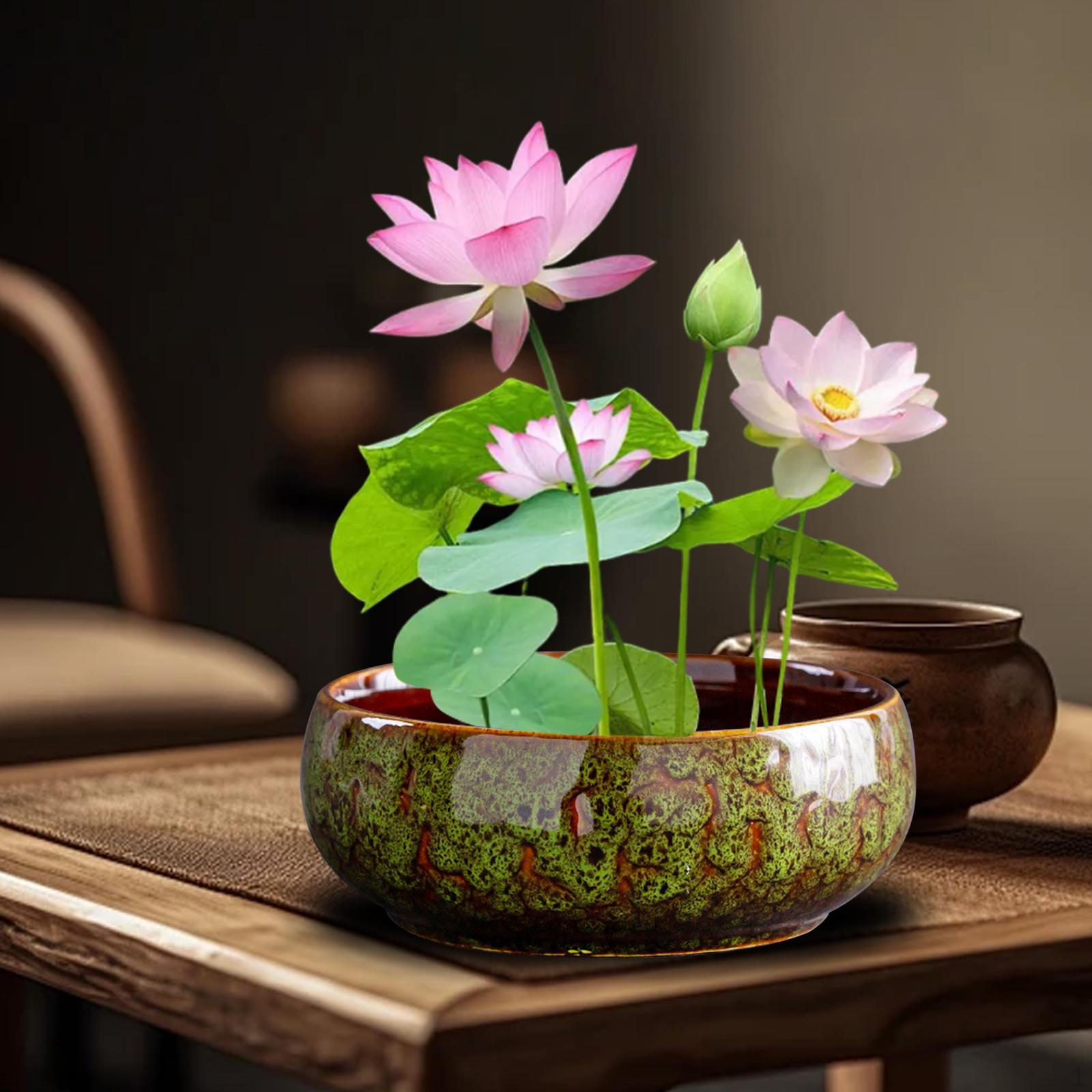 

Керамическая чаша для бонсай-растений для посадки лотоса в воде в помещении kiln changed green