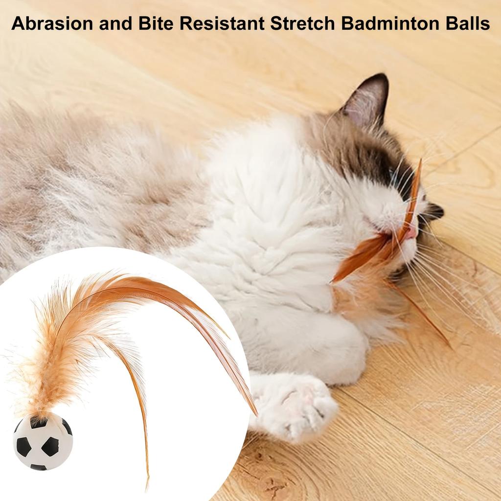 Cat Ball Toy Rubber Balls Bounce with Feathered Interactive Plaything for Cats Indoor Cat Toy Playful Pet Toy Durable Cat Toys