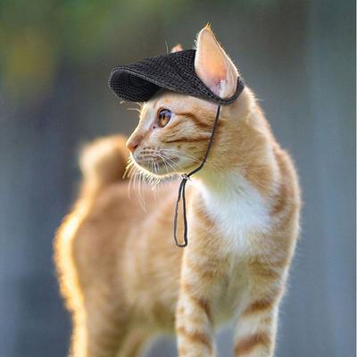Comfortable Solid Color Pet Baseball Hat Adjustable with Ear Holes Dog Cap Breathable Sun Protection Dogs Sun Hat Outdoor