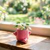 Lachend Gezicht Bloempot, 3D Geprint Leuke Plantenbak, Decoratieve Bloempot voor Vetplanten Cactussen Kleine Groene Planten