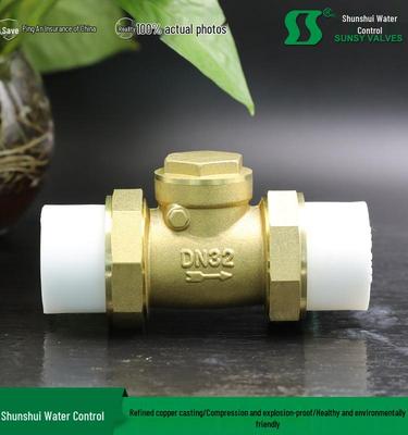 Horizontal PPR Brass Check Valve for Hot Melt Union, Backflow Prevention, and Reverse Flow - Available In 4 Points, 6 Points, and 1 Inch.