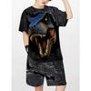 Dinosaur Children's New Boys' T-shirt and Shorts Set