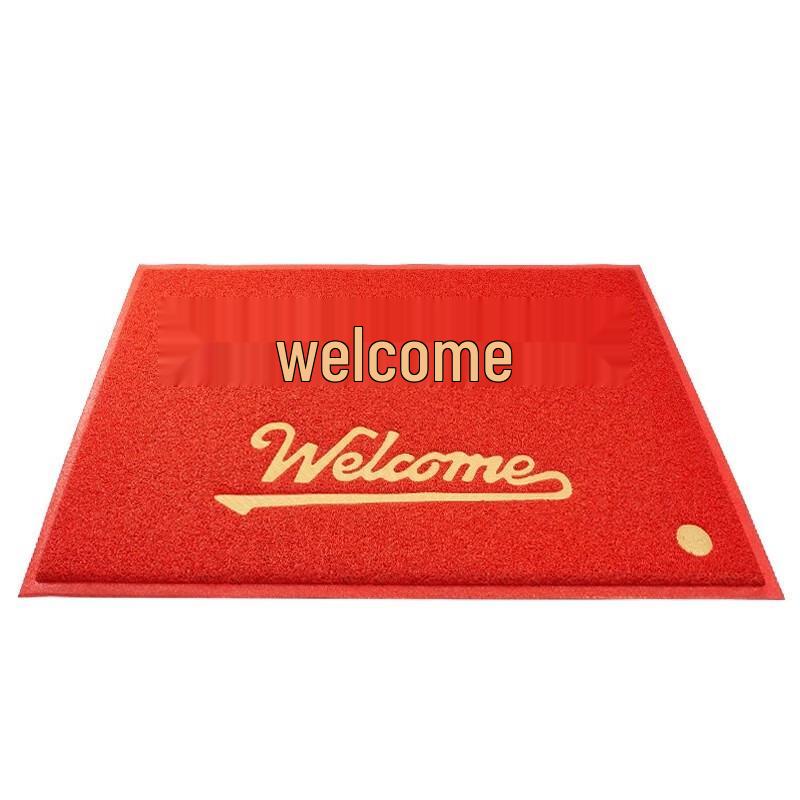 Yuezeyou+ Welcome Entrance Mat 60x90cm Thick
