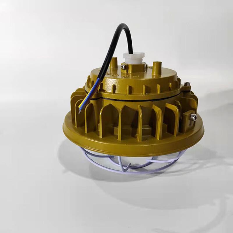 Liangtu 50W Industrial LED Explosion-Proof Wall Lamp