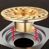Brass Floor Drain Core with Large Filter Screen for Bathroom Sewer Anti Odor and Backflow Prevention Suitable for Standard Drain Pipes