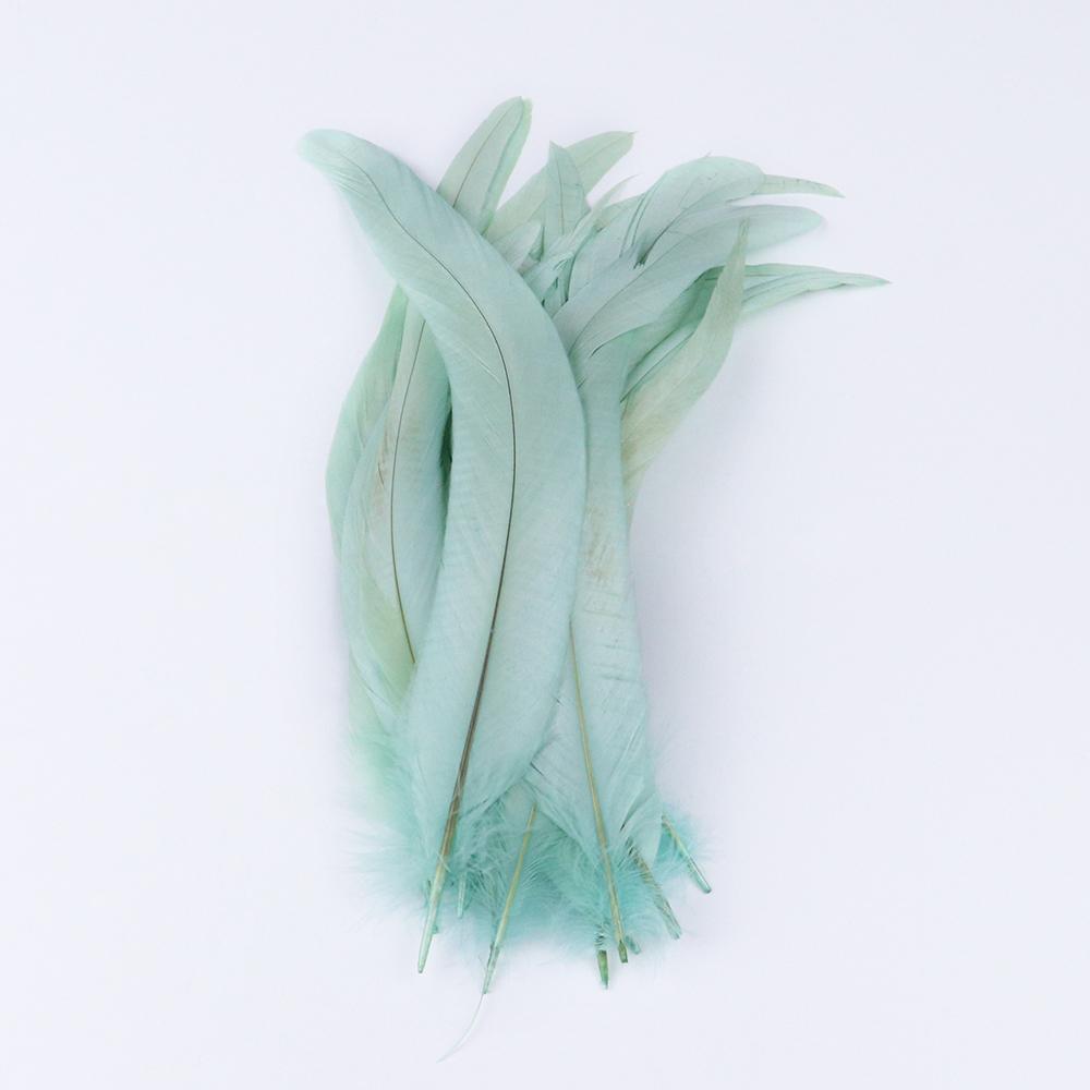 10pcs/lot Natural Roosters Chicken Cock Feather Tail Bulk 25-40cm for DIY Craft Dress Wedding Carnival Stage Perform Plume Decor