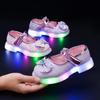 2026 Princess Bow Crystal Luminous Shoes for Girls - Stylish Spring/Autumn Performance Leather Shoes