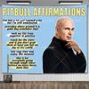 Mr Worldwide Dice To Live Laugh Love Telo da Parete MR 305 Pitbull Meme Telo da Parete Grande Tessuto Appeso a Parete Teli Tappetini Yoga
