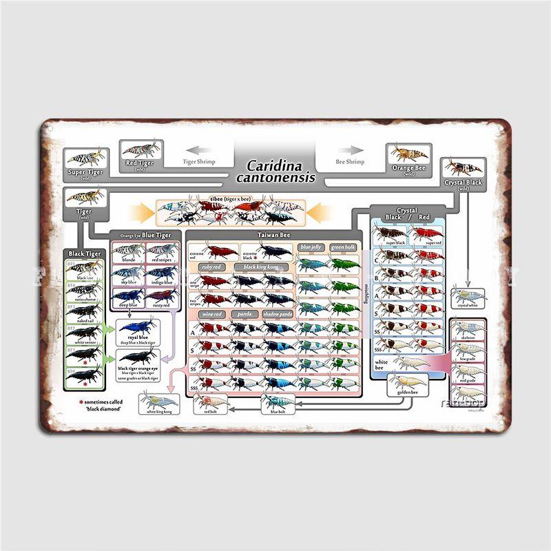 

Caridina Cantonensis Family Tree Metal Sign Printing Club Bar Cinema Kitchen Plates Tin Sign Poster 20x30cm（7.8x11.8inch）