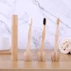 BPA-Free 100% Biodegradable Eco Friendly Cheap Flat Medium for Toothbrush with Nylon Bristles CE Certified Home Use Set