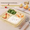 Yuzhou 1000ml 4-Compartment Degradable Microwaveable Lunch Box