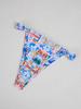 2025 Cross-Border European & American Sexy Print Bikini Swimsuit for Women