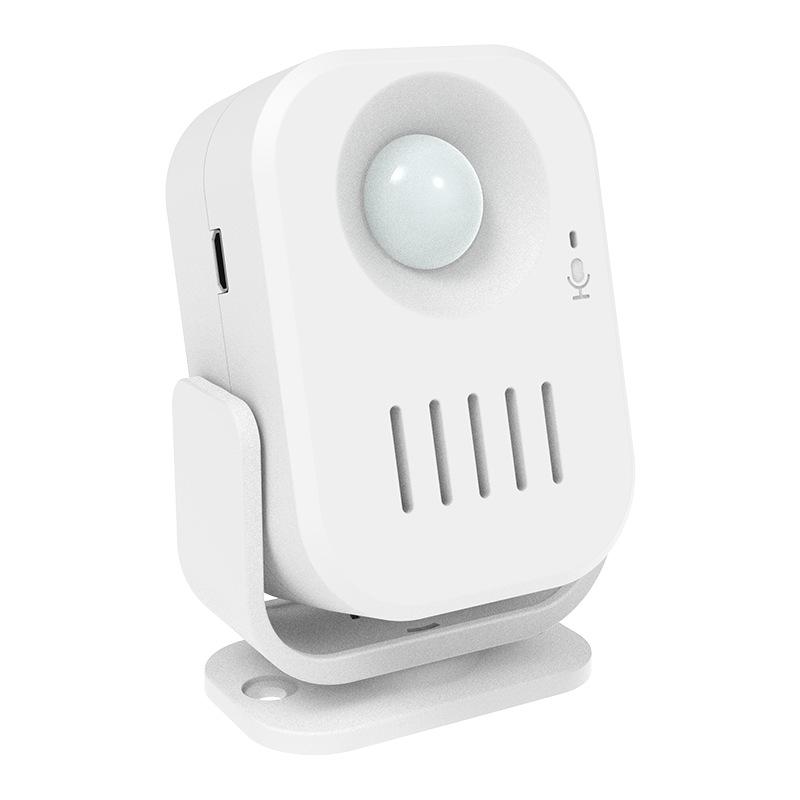 Wireless Recordable Doorbell & Welcome Sensor Alarm