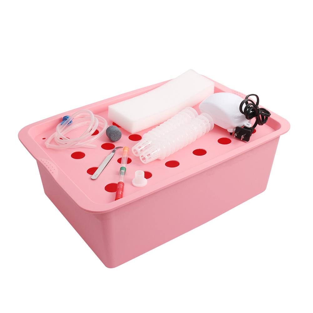 220V/110V 24 Holes Hydroponic Kit with Oxygen Pump Indoor Garden Cabinet Box Bubble Nursery Pots Cultivation Box 1 Set