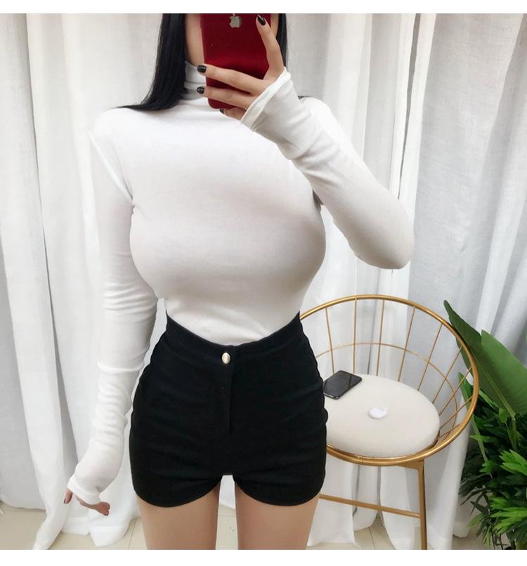 Women's Sheer High Neck Long Sleeve Korean T-shirt - Thin, Skin-friendly, Sexy Base Layer