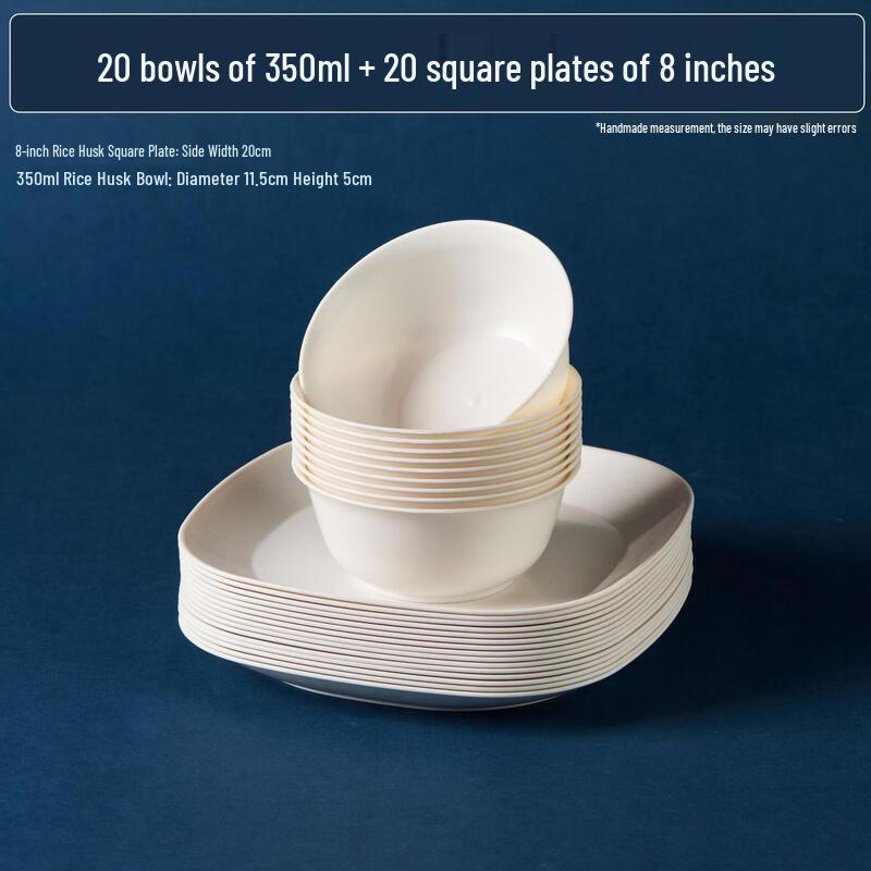 ZISIZ Disposable Dinner Plates