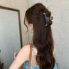 Elegant Korean-Style Rhinestone Fishbone Claw Clip for Women - High-Grade Hair Accessory for Stylish Updos