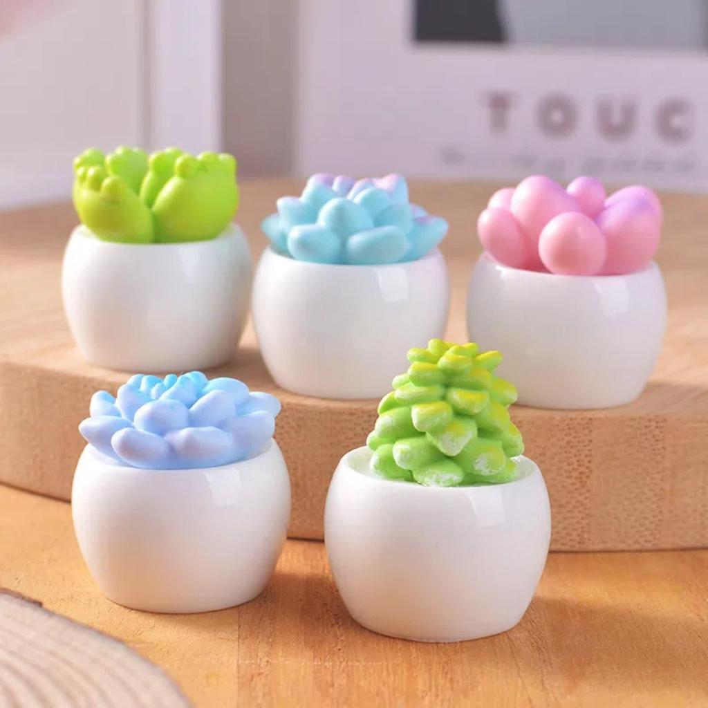 BUYUP Plante Grase Miniaturale în Ghivece, Set de 6, Figurine Drăguțe, Ornamente Liniștitoare Tip Bonsai, Accesorii pentru Masă, Ornamente pentru Hol, Floare