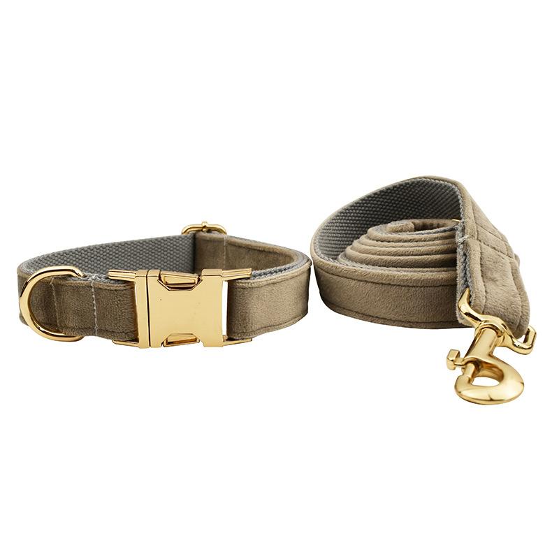 New Pet Collar Leash Adjustable Dog Collar with Dog Walking Leash XS