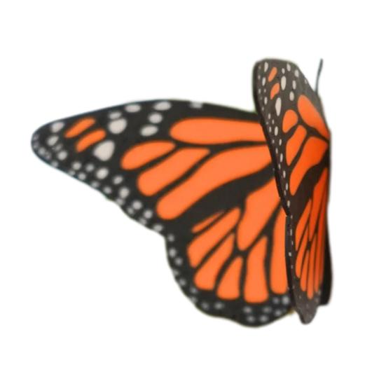 3Pcs Butterfly Magnets for Refrigerators Realistic Double-Sided Wings Flexible Butterfly Home Decor Magnets
