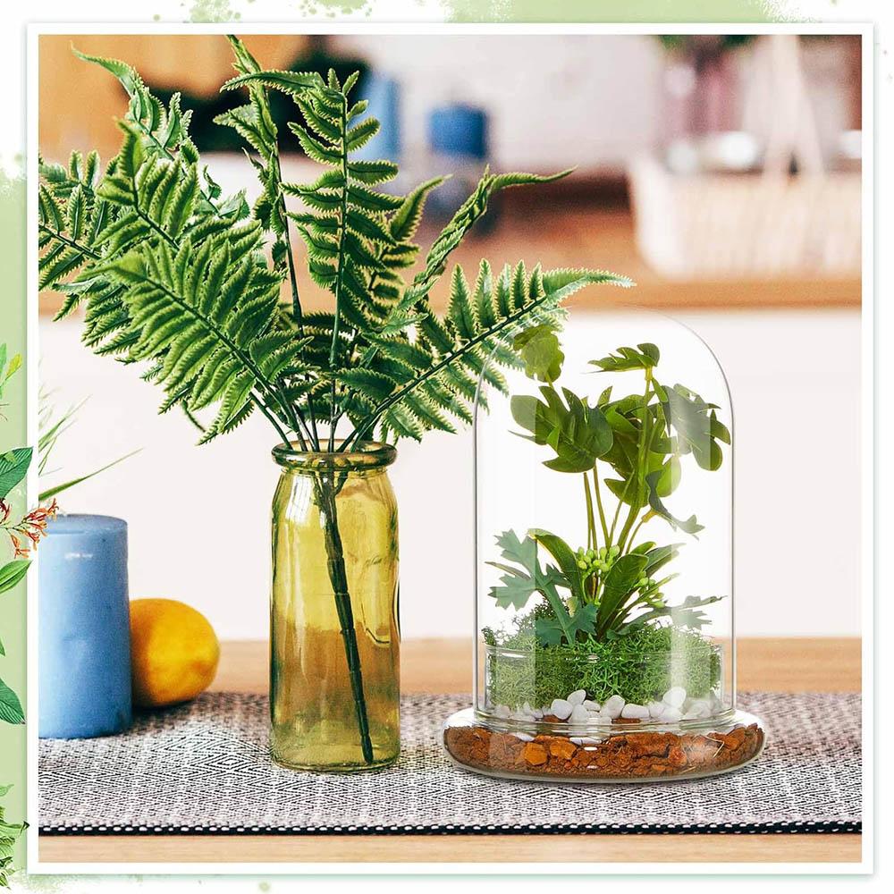 Cupola di Vetro con Foro per l'Aria Campana di Vetro a Cloche con Base Espositore da Tavolo per la Casa Contenitore Terrario Trasparente per Piante, Terrario