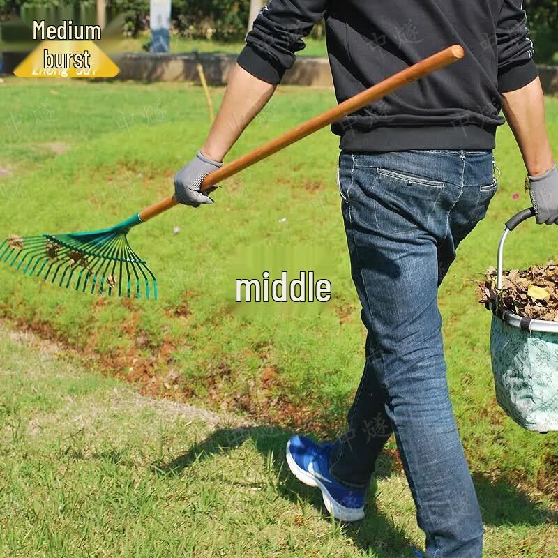 Agricultural Leaf & Grass Rake