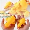 Pato Macio Antiestresse Brinquedos Fidgets Ganso Fofo Animais Brinquedos de Alívio Para Crianças Adultos Brinquedos de Esticar Descompressão Amigos Melhor Presente