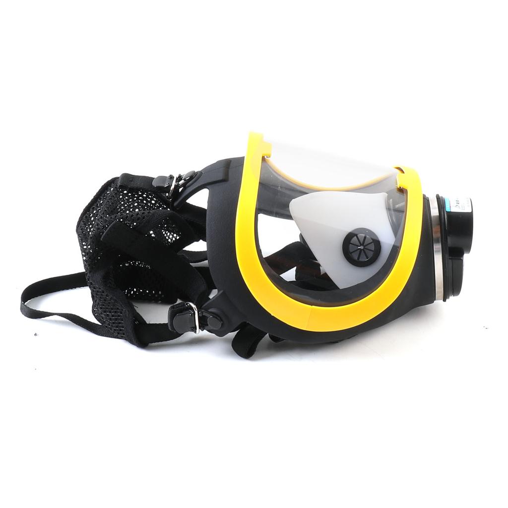 Electric Constant Air Flow Full Face Gas System XLSF-A1 110V-220V Chemical Industrial Painting Spraying Air Supply Respir