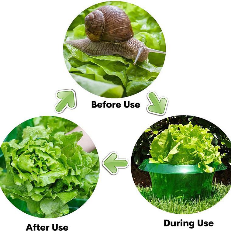Thickened Transparent Plant Protection Cover - Round/Square Pest Barrier for Vegetables