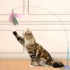 New Feather Long Pole And Steel Wire Cat Toy With Suction Cup, Designed To Boredom And Enhance The Comfort Of Cats