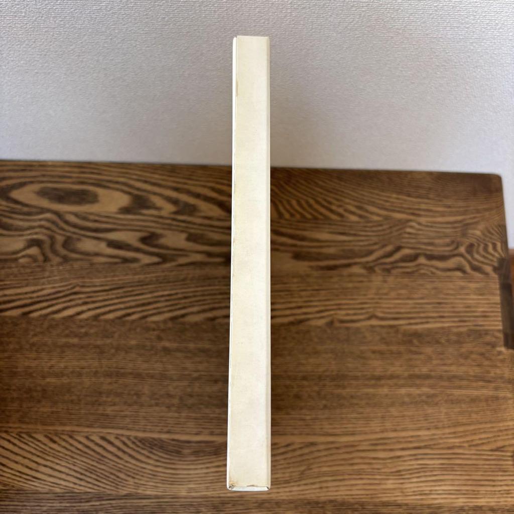 [USED] Rare Akira Toriyama THE WORLD SPECIAL (Art Book)