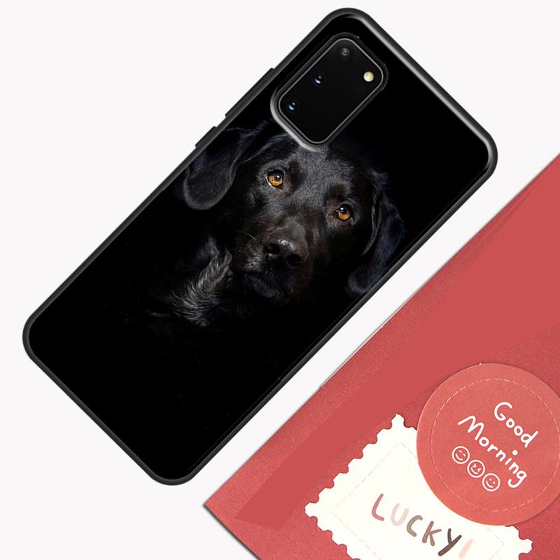 Black labrador retriever Animal Dog Phone Case For Samsung Galaxy S26 S25 S24 S20 S21 S22 S23 Ultra S10 Plus S25 FE Cover Shell