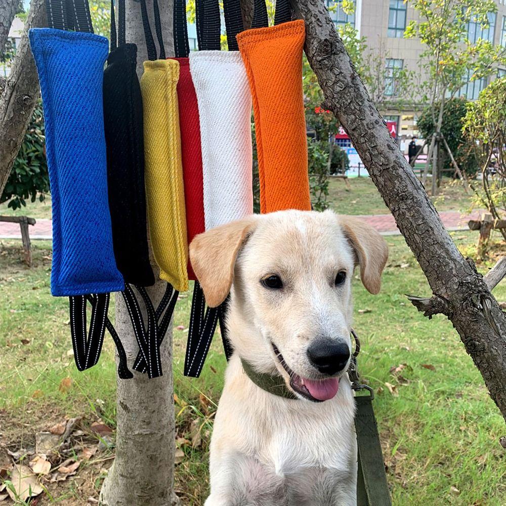 30cm Interaktives Hund Zerrspielzeug Jute Bisskissen Kauspielzeug Lustiges Haustier Begleiter Spielzeug