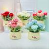 Peony Potted Plants Artificial Flowers Potted Plants Green Plants for Decorating The Interior and Exterior of The Home