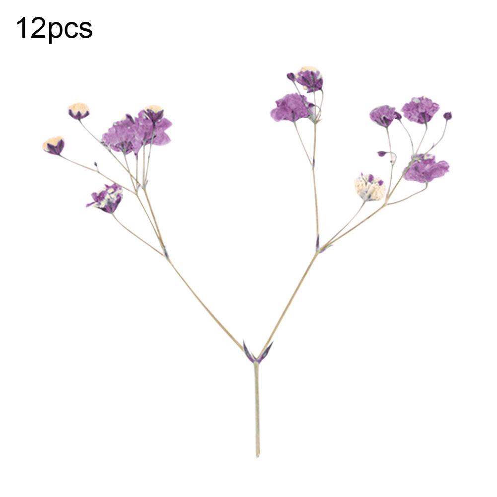 12ks sušených květin Vzorek větve Karta z epoxidové pryskyřice Záložka Doplňky pro kutily Live City Fashion Home Decor