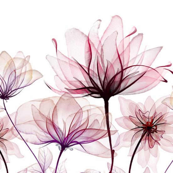 Pink Flower Toilet Sticker Removable Self-adhesive Waterproof PVC Living Room Wall Art Bathroom Toilet Lid Decoration Decal
