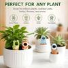 Clay Pot Waterer Set of 6 for Herbs and Small Containers, Top Fill Watering Stakes for Busy Schedules and Daily Use Around Pots Indoors