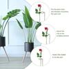Fixing Rod Climbing Plant Support Climbing Vine Rack Stake Stand Tomato Spiral Stakes Bonsai Metal Spiral Tomato Stakes Garden