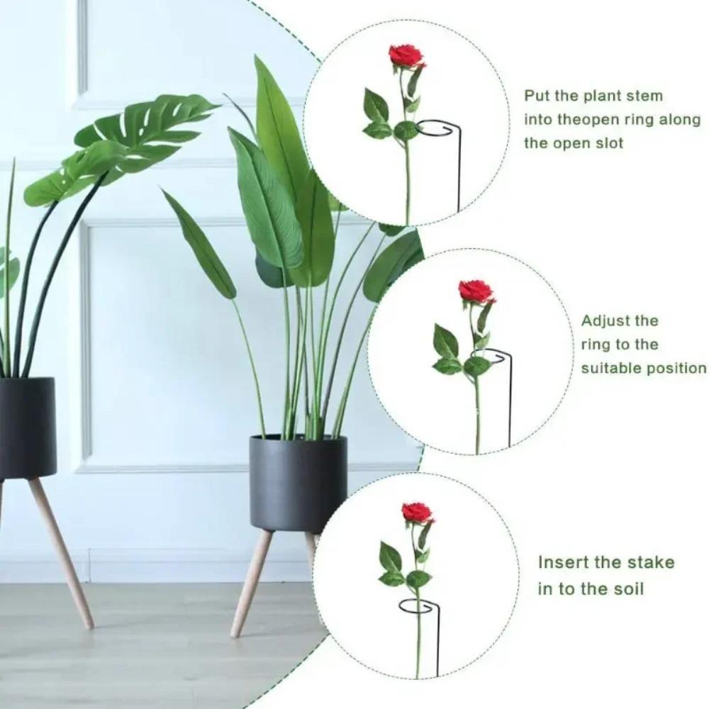 Fixing Rod Climbing Plant Support Climbing Vine Rack Stake Stand Tomato Spiral Stakes Bonsai Metal Spiral Tomato Stakes Garden