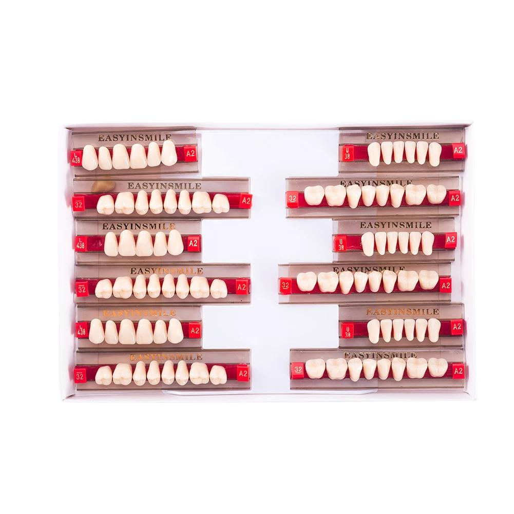 16/12 Sätze/Karton Zahnprothese Zähne Oberkiefer Frontzähne Unterkiefer Seitenzähne Dentier Synthetisches Polymerzähne Zahnmedizinische Ausbildungsmodell