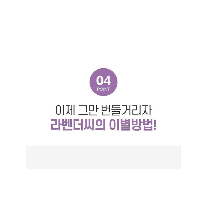 GRAYMELIN - Purifying Lavender Cleansing Oil