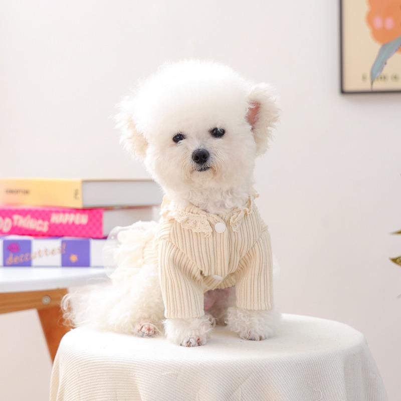 Pet clothes autumn and winter small dogs puppies happy dogs and cats warm and comfortable clothing blue bow gauze skirt