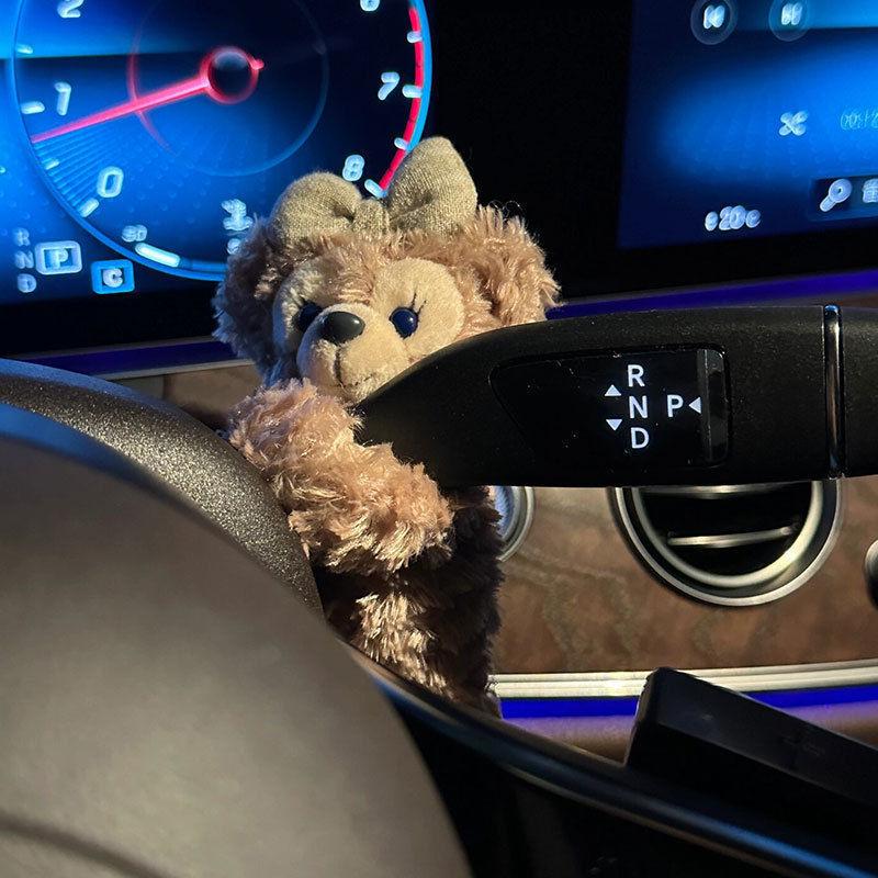 Charming Car Ornaments: Plush Passenger Seat Toys & Decorations for Women, Perfect for Tesla.