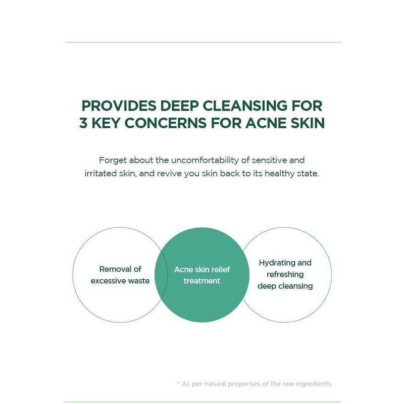 SKIN 1004 - Madagascar Centella Tea-trica BHA Foam