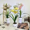 Faberi Cymbidium Rolfe Artificial Flowers For Outdoor Photography Decor Party
