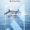 BLUEO UV Tempered Glass For Vivo X200 Pro Screen Protector for VIVO X200 Pro 5g