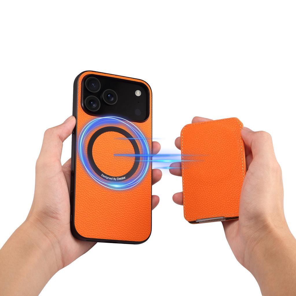 DENIOR D29 For iPhone 17 Pro Max Magnetic Case Leather Back Phone Cover with Detachable Card Holder