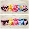 Pet Dog Shorts Sanitary Physiological Pants Cute Fruit Print Diaper Dog Shorts Washable Female Dog Panties Underwear Briefs Dc05